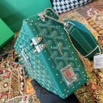 Knock Off Goyard Cassette Trunk Green