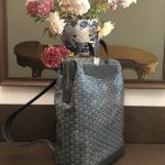 Replica Goyard Cisalpin Backpack Grey