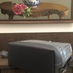 Replica Goyard Cisalpin Backpack Grey