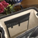 Replica Goyard Cisalpin Backpack Grey