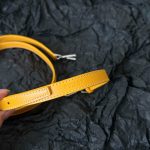 Goyard Vendome PM Mini Bag Yellow