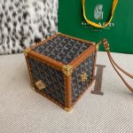 Goyard DE Trunk Brown