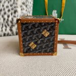 Goyard DE Trunk Brown