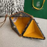 Goyard DE Trunk Brown