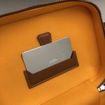 Goyard Muse Vanity Case Brown